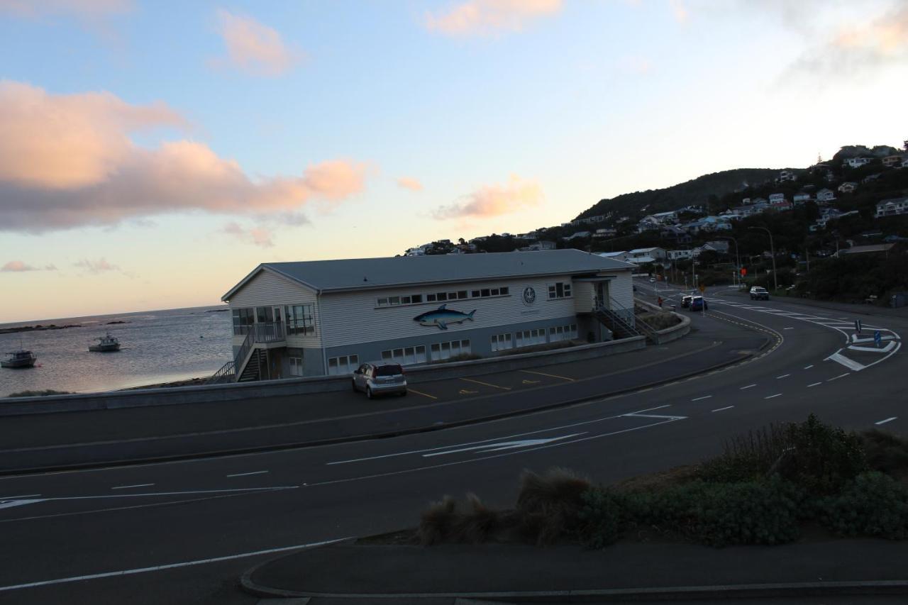 Modern & Cosy Studio Unit On Island Bay Beachfront Wellington Exterior foto